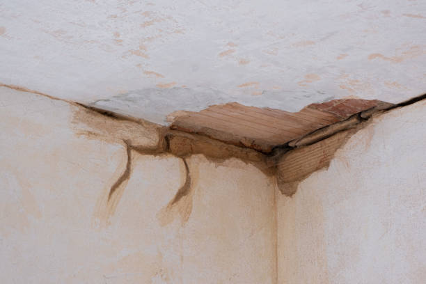  Pomeroy, OH Water damage restoration Pros