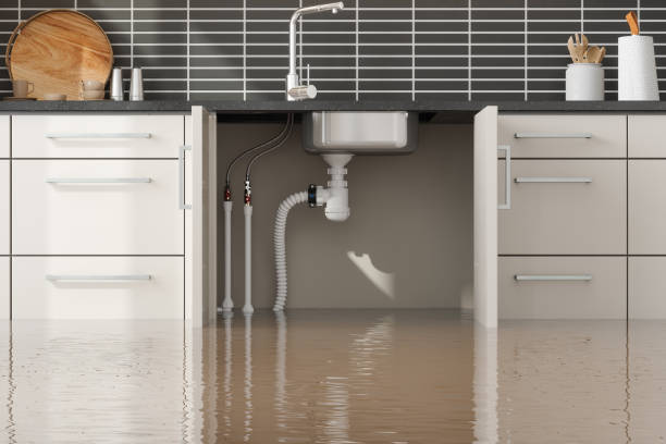 Water damage restoration mold remediation in OH